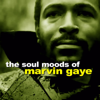The Soul Moods of Marvin Gaye