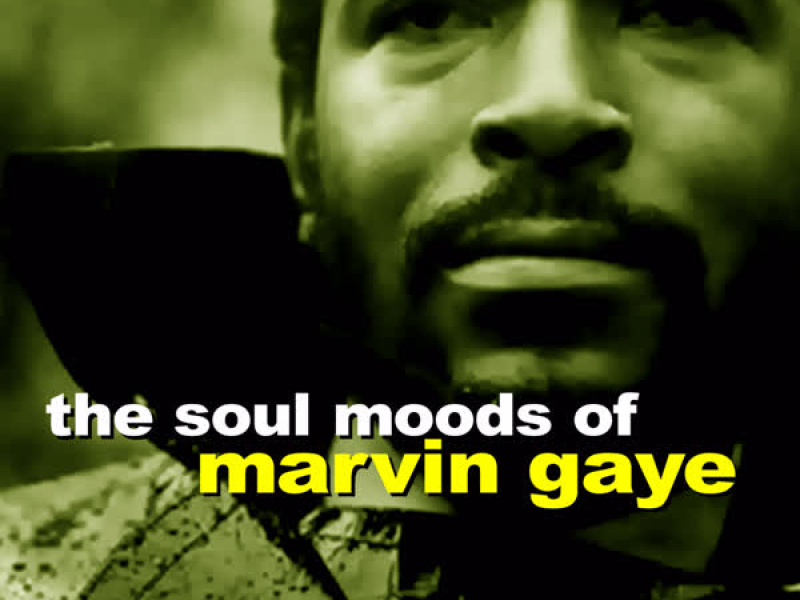 The Soul Moods of Marvin Gaye