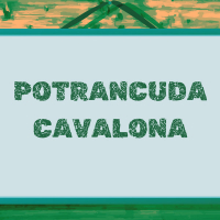 Potrancuda Cavola (Single)
