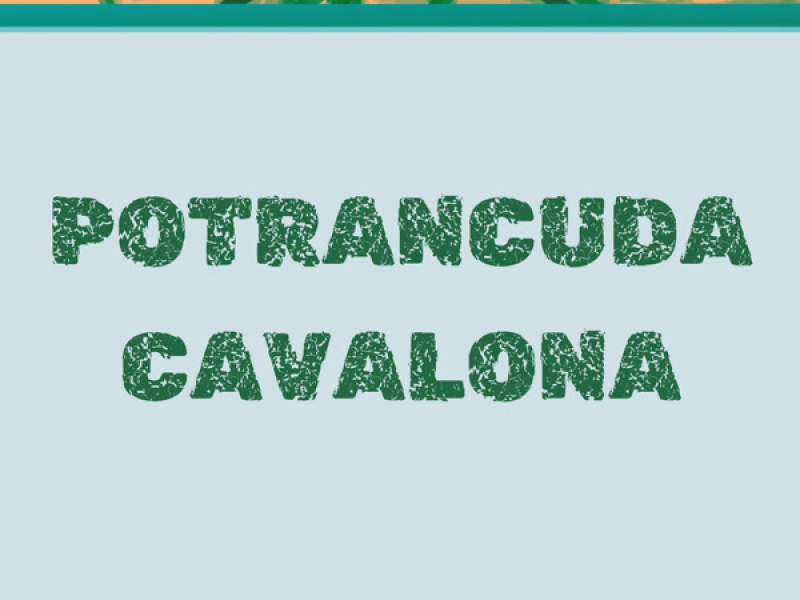 Potrancuda Cavola (Single)