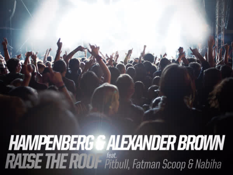 Raise the Roof (feat. Pitbull, Fatman Scoop & Nabiha) (Remixes)
