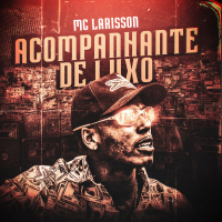 Acompanhante de Luxo (Single)