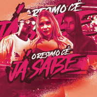 O RESUMO CÊ JA SABE (Single)