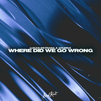 Where Did We Go Wrong (Single)