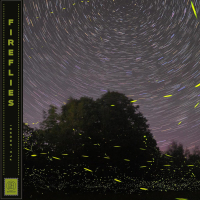 Fireflies (Single)