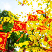 Hoa Cỏ Mùa Xuân (Single)