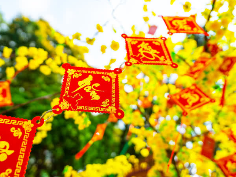 Hoa Cỏ Mùa Xuân (Single)