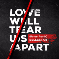 Love Will Tear Us Apart (Ronan Remix) (Single)