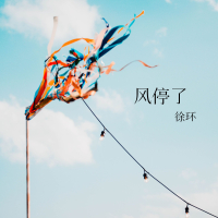 风停了 (Single)