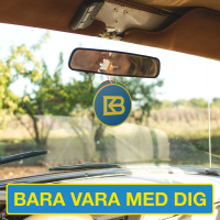 Bara vara med dig (Single)