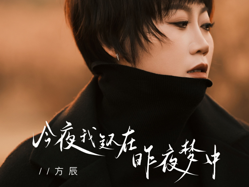 今夜我还在昨夜梦中 (Single)