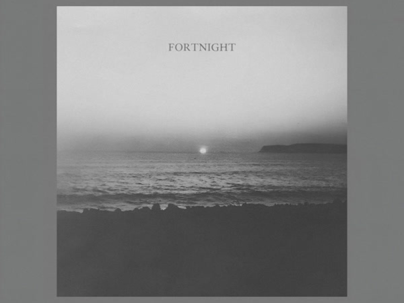 Fortnight (Single)