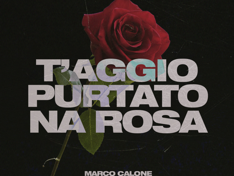 T'Aggio Purtato Na Rosa (Single)