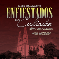 Enfiestados En Culiacan