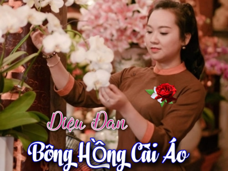 Bông Hồng Cài Áo Vol. 2