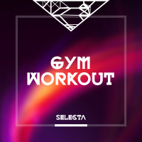 Selecta Gym Workout (Single)