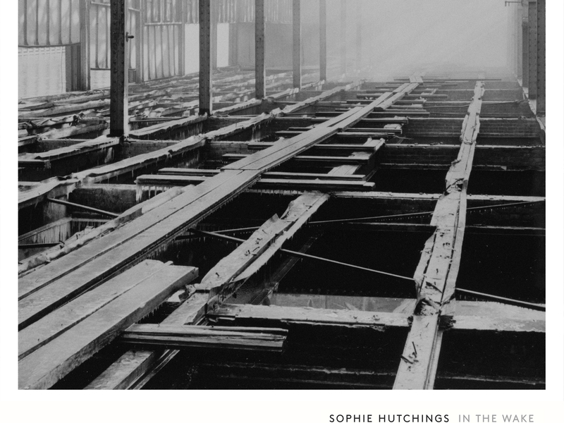 In The Wake (Single)