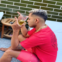 VEM PRO BAILE DA SELVA (Single)