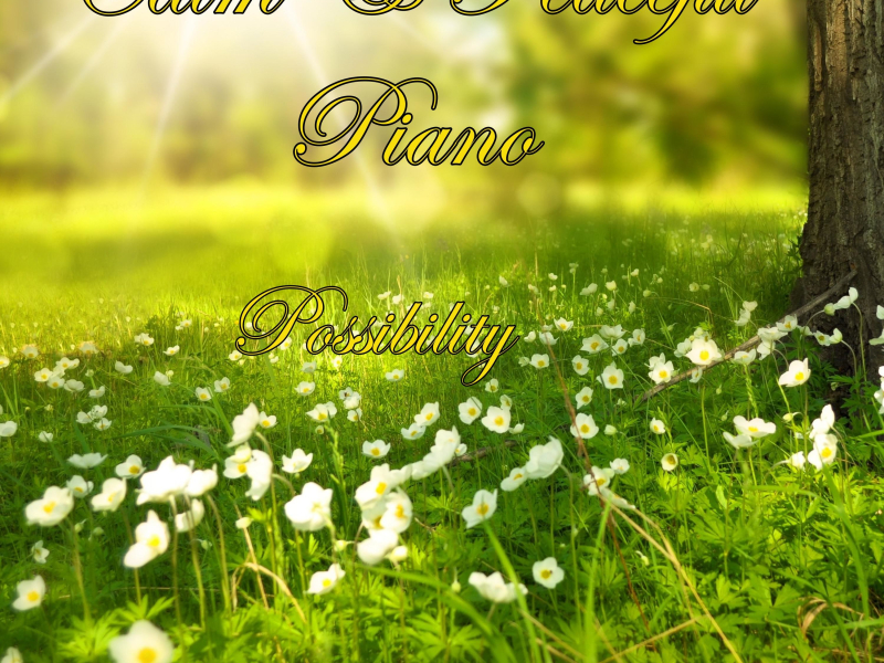 Possibility (Single)