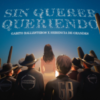 Sin Querer Queriendo (Single)