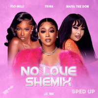 No Love Shemix (Sped Up) (Single)