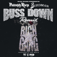 Buss Down (Remix) [feat. Birdman] - single
