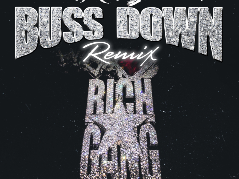 Buss Down (Remix) [feat. Birdman] - single