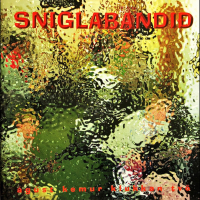 Ágúst kemur klukkan tvö