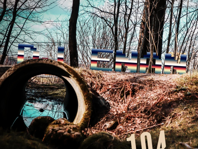 104 (feat. Afro B, PeeWee, Mae$trO, Nigerian Bushman & Raï Raï) (Single)