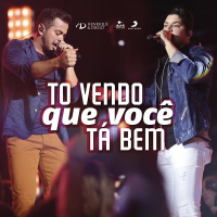 Tô Vendo Que Você Ta Bem (Ao Vivo) (Single)