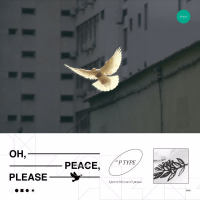Oh, peace, please (Single)