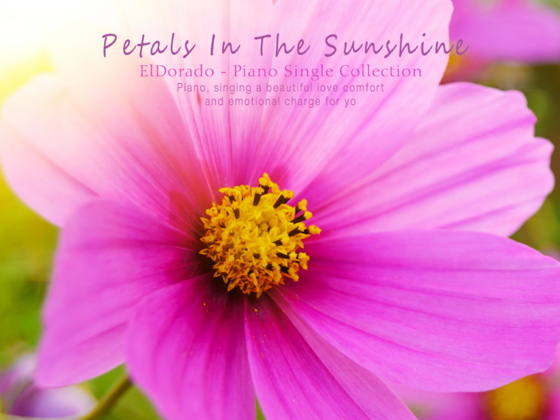 Petals reflected in the sun (Single)