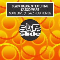 So In Love (Atjazz Peak Remix) (Single)