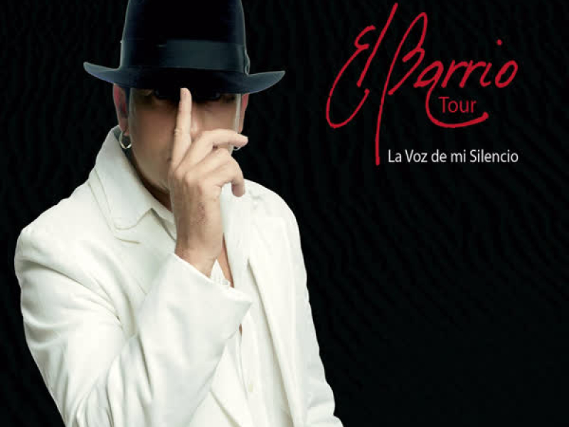 La Voz de Mi Silencio (Tour 08) (En Directo)