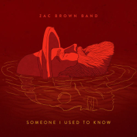 Someone I Used to Know (Single)