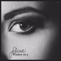 Window Nr 9 (Single)