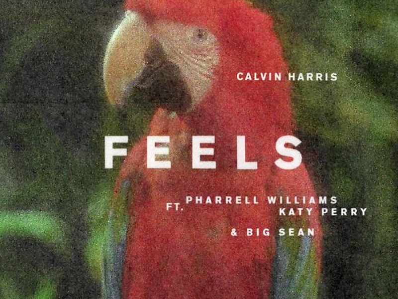 Feels (Single)