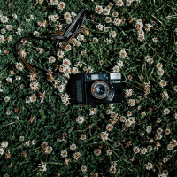 Photography (Single)