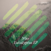 Eukalyptus (Single)