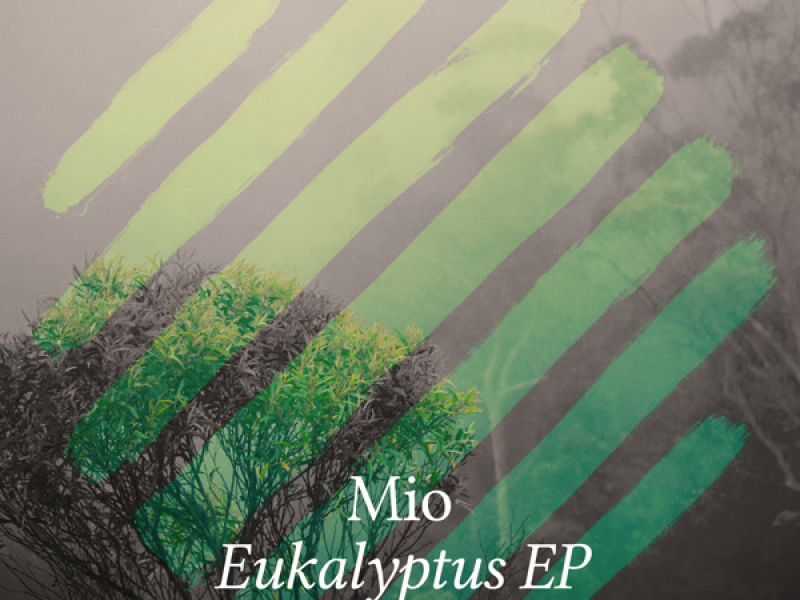 Eukalyptus (Single)