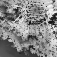 distance (slowed + reverb) (Single)