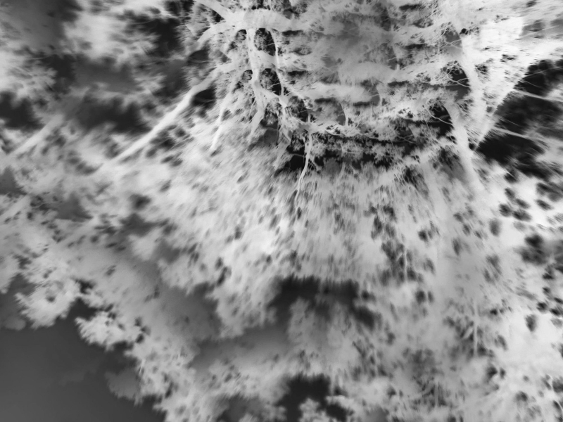 distance (slowed + reverb) (Single)