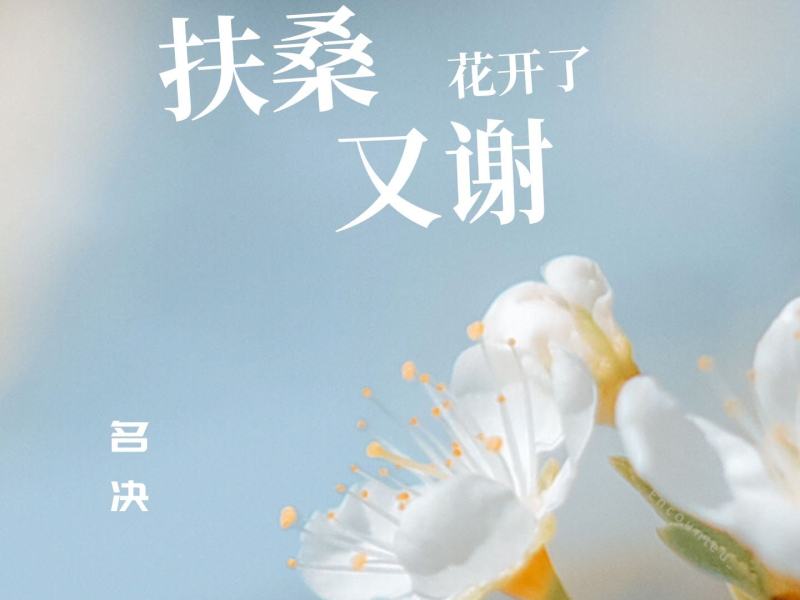 扶桑花开了又谢 (Single)