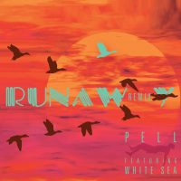 Runaway (feat. White Sea) [Remix] (Single)