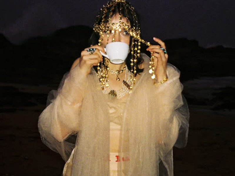 Desert Rose (Live Strings Version) (Single)