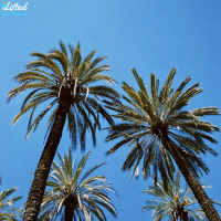 No more anxiety (Single)