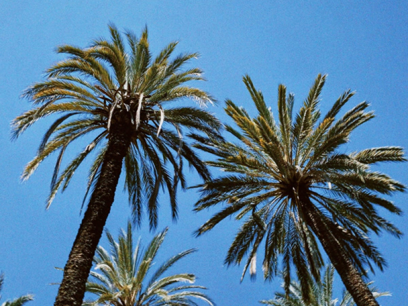 No more anxiety (Single)