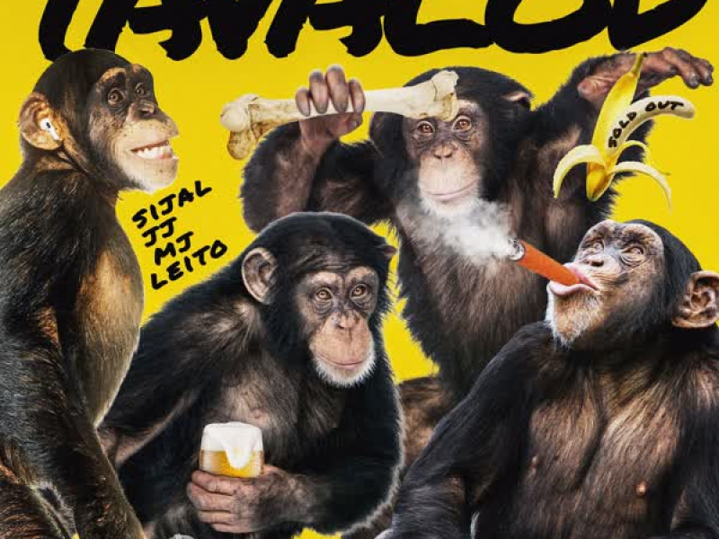 Tavalod (feat. Sijal & Alireza Jj) (Single)