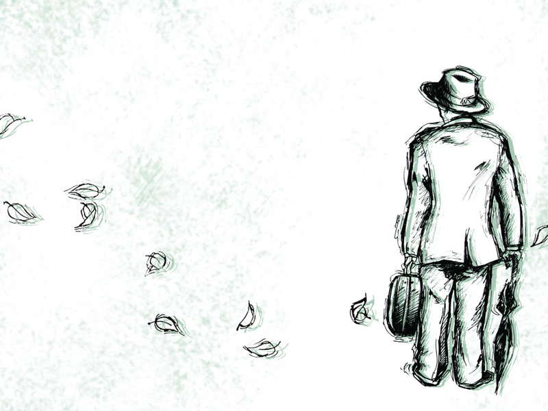 Postcards And Daydreaming