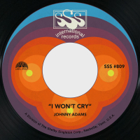 I Won't Cry / I Want to Walk Through This Life with You (Single)